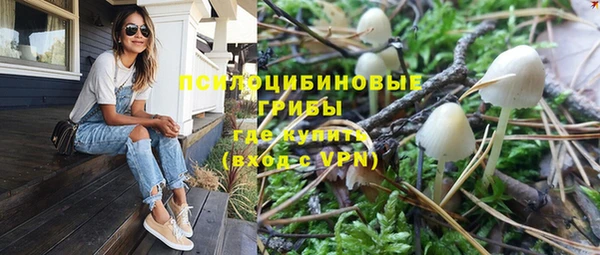 a pvp Пестово