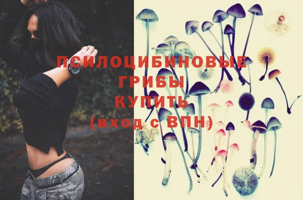 прущие крисы Осташков